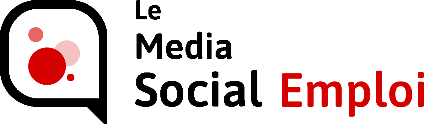 Logo LMSE